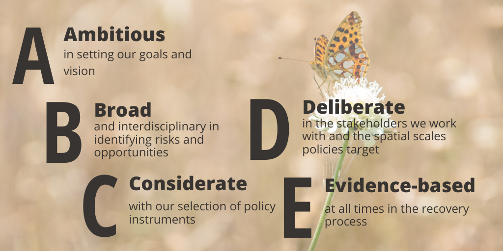 Image of butterfly with overlaid text: (A) Ambitious in setting our goals and vision, (B) Broad and interdisciplinary in identifying opportunities and risks, (C) Considerate with our selection of policy instruments, (D) Deliberate in the stakeholders we work with and the spatial scales policies target, (E) Evidence-based at all times in the recovery process