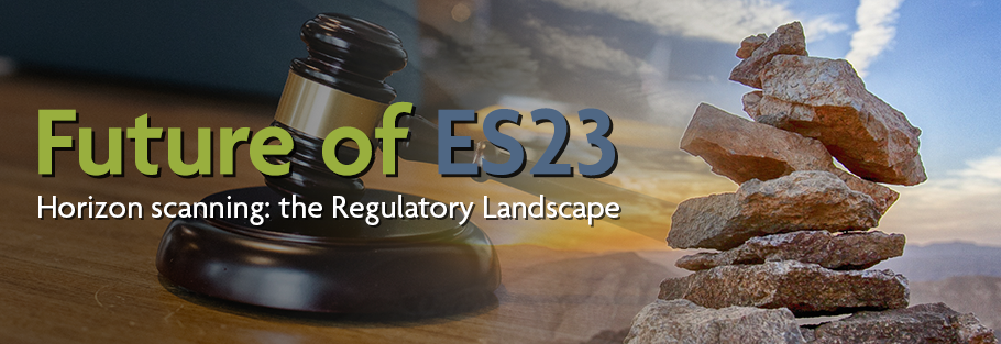 Gavel fading into sunset with aesthetic pile of stones with overlaid text "Future of ES23: Horizon Scanning: the Regulatory Landscape"