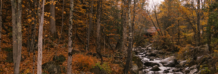 An autumnal river scene.
