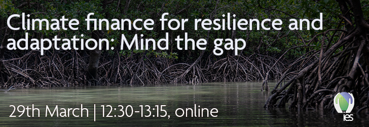 Climate finance for resilience and adaptation: Mind the gap March 29 12:30 Online