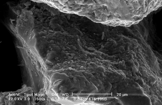 Electron microscope image of sand grains coated with CAC