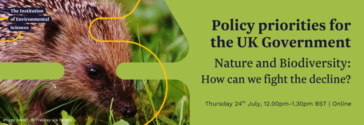 Priorities for the UK Government: Nature & Biodiversity, how can we fight the decline? Thursday 24th July, 12.00pm-1.30pm BST, Online