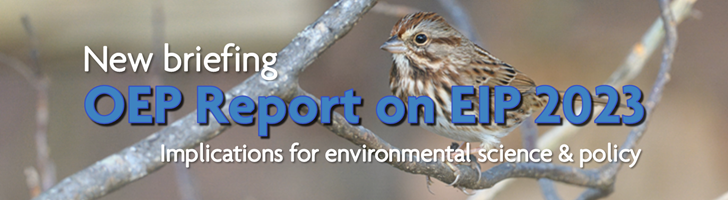 sparrow on branch with overlaid text "New briefing: OEP Report on EIP 2023 - Implications for environmental science and policy"