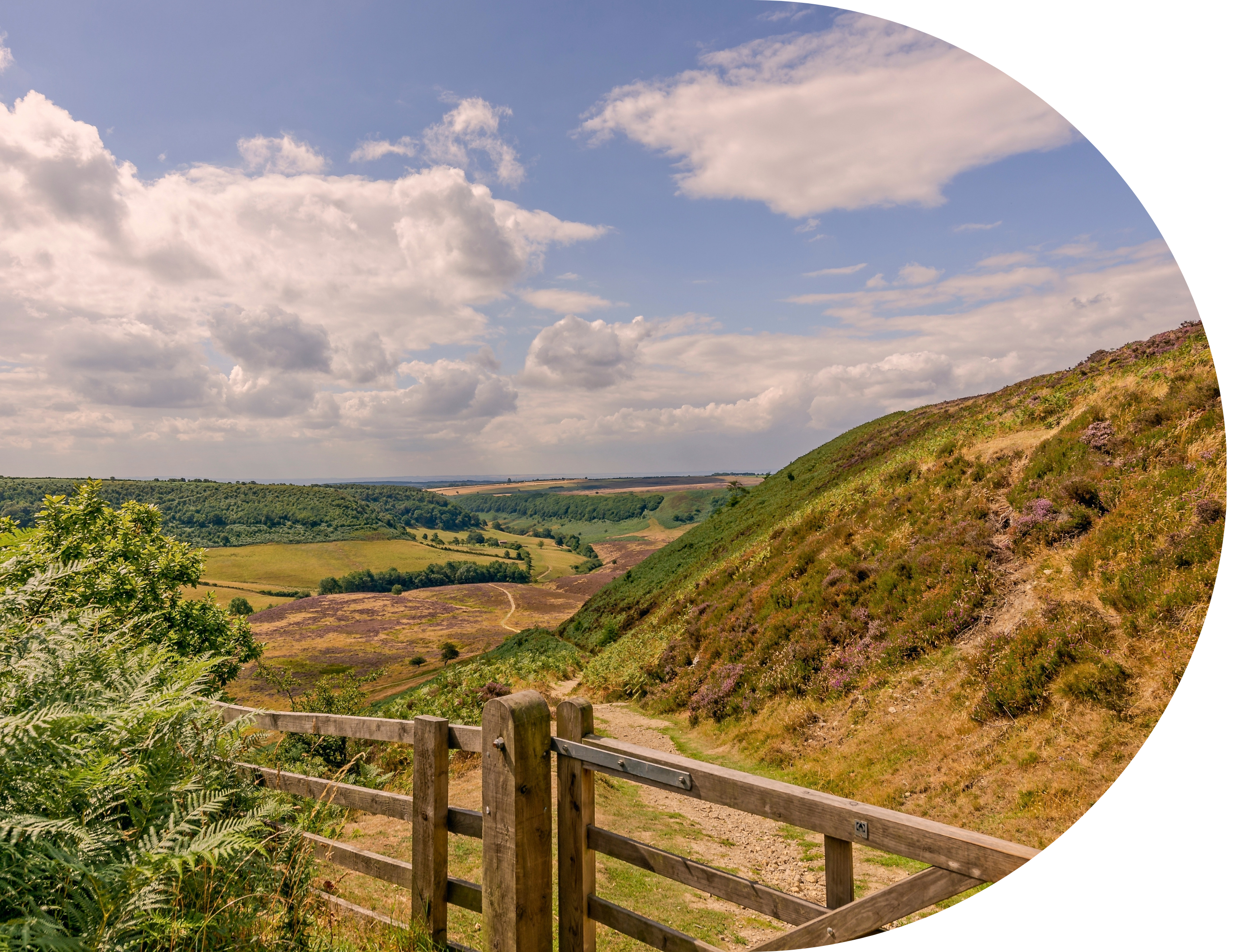 Rural landscape with, looking over valley in North York Moors