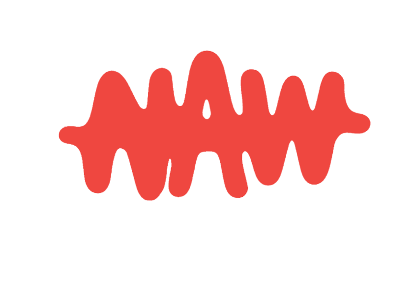 Noise Action Week Logo