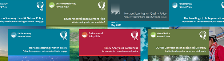 Covers of IES policy briefings