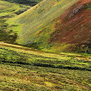Photo of Scotland countryside