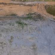 Aerial view of the saltmarsh restoration trial site