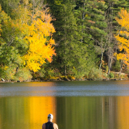 Two wild swimmers wading into a lake lined with forest