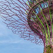 A photo of the Landscape of Gardens in Singapore