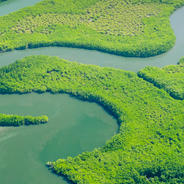 Twisting river meandering through the rainforest