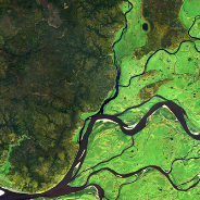 River network from above surrounded by green landscape