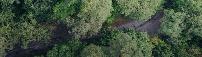 Photo of forest from above with road going through