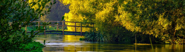 Photograph of a wooden bridge over a river