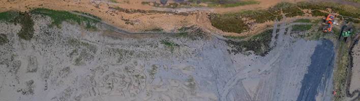 Aerial view of the saltmarsh restoration trial site