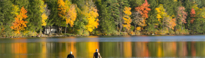 Two wild swimmers wading into a lake lined with forest