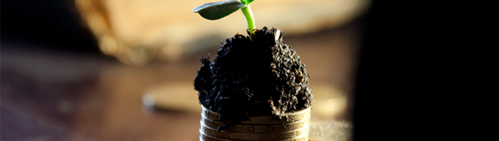 A photograph of a small green seedling emerging from a small pile of soil on top of a stack of pound coins.