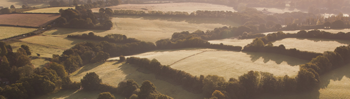 A photo of a British countryside landscape of fields and hedgerows at dusk