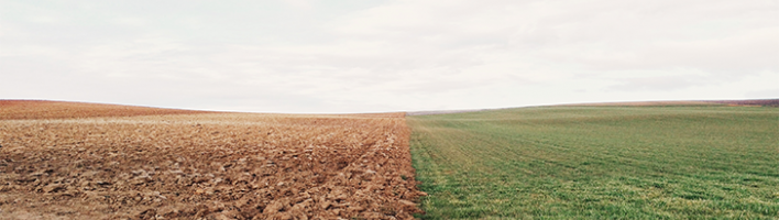 Photo of land, half is muddy soil, half is fresh healthy grass. 