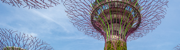 A photo of the Landscape of Gardens in Singapore