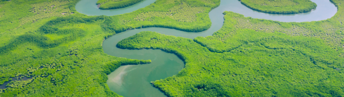 Twisting river meandering through the rainforest