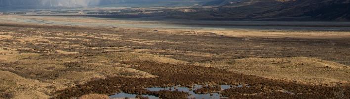 image of grassland with mountains in the distance