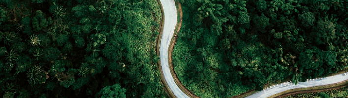 winding path seen from birds-eye view