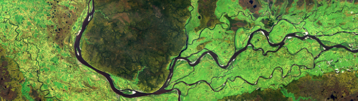 River network from above surrounded by green landscape
