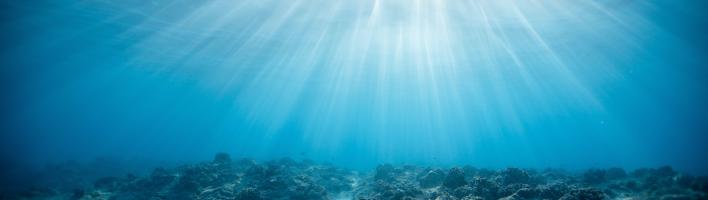 View from the sea floor looking up towards a ray of light at the surface.