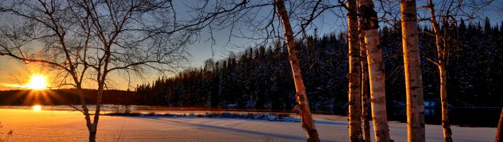 View of sunset over snowy field in woods