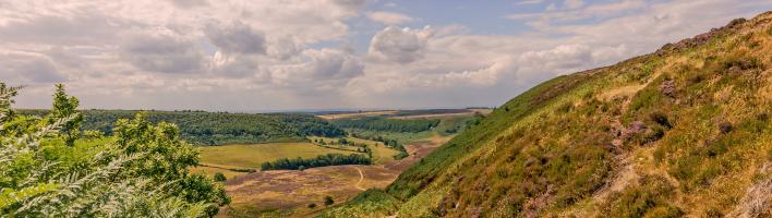 rural landscape in north Yorkshire