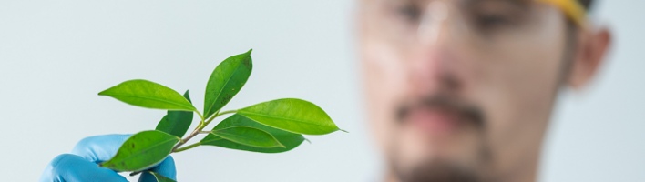 person with goggles holding a plant