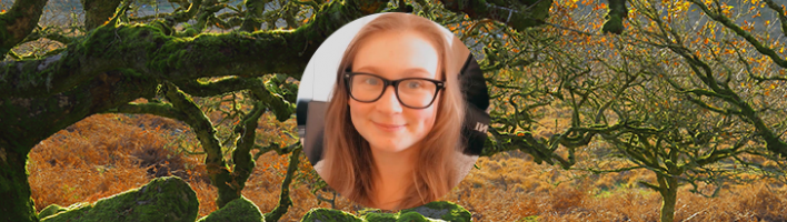 Sophie hoyland overlaid on image of ancient forest devon