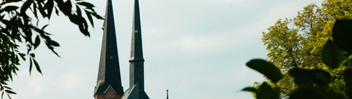 church spire with trees