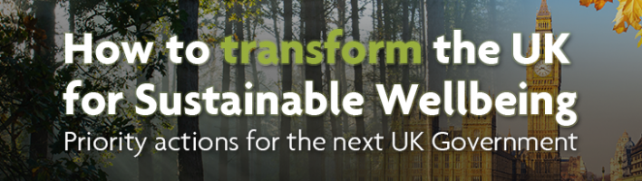 Woodland fading into UK Parliament with overlaid text "How to transform the UK for sustainable wellbeing: Priority actions for the next UK Government"