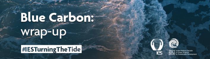 Overhead view of the ocean with a wave 2/3 of the way across. Superimposed with text reading "Blue Carbon: wrap-up. #IESTurningTheTide." Bottom right corner features the IES and UN Ocean Decade logos.