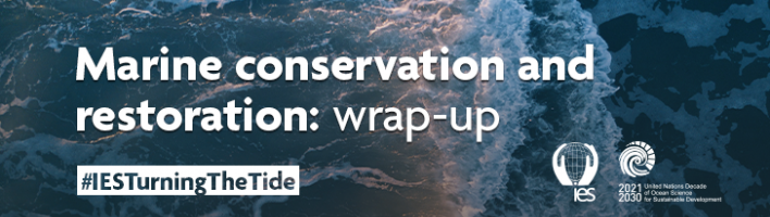 An ocean wave, viewed from above, is in the background. Text reads 'Marine conservation and restoration: wrap-up", "#IESTurningTheTide". The IES and Ocean Decade logos are visible next to the text.