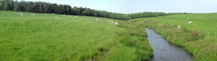 An image of a river flowing through grassy farmland