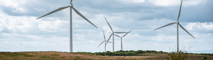 Three wind turbines in a field with pink flowers