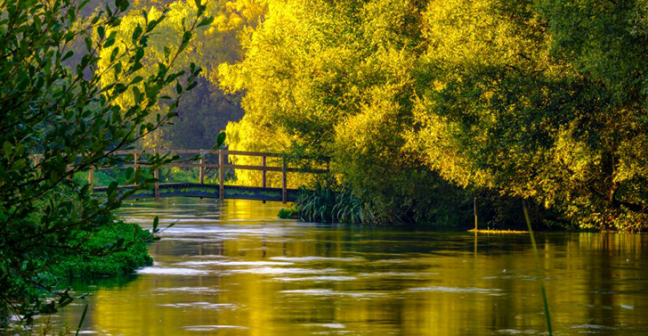 Photograph of a wooden bridge over a river