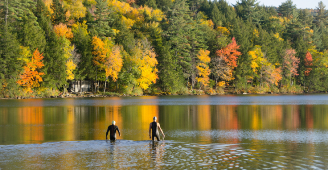 Two wild swimmers wading into a lake lined with forest