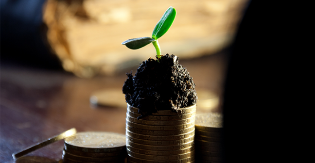 A photograph of a small green seedling emerging from a small pile of soil on top of a stack of pound coins.