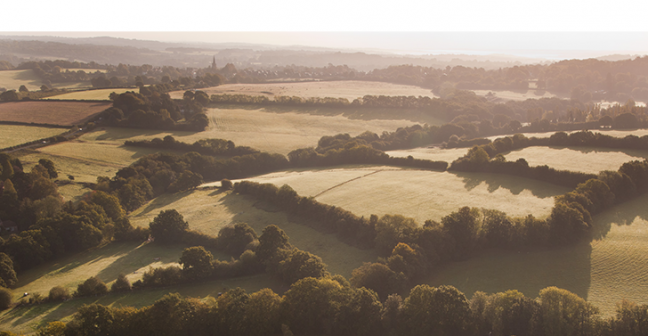 A photo of a British countryside landscape of fields and hedgerows at dusk