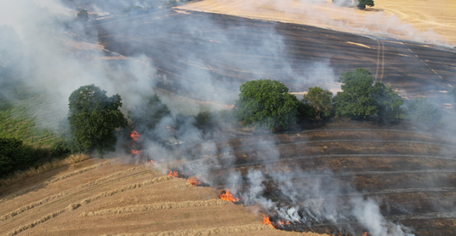 farmland burning with smoke rising after extreme heat