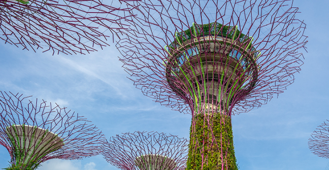 A photo of the Landscape of Gardens in Singapore