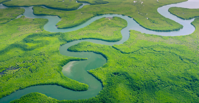 Twisting river meandering through the rainforest