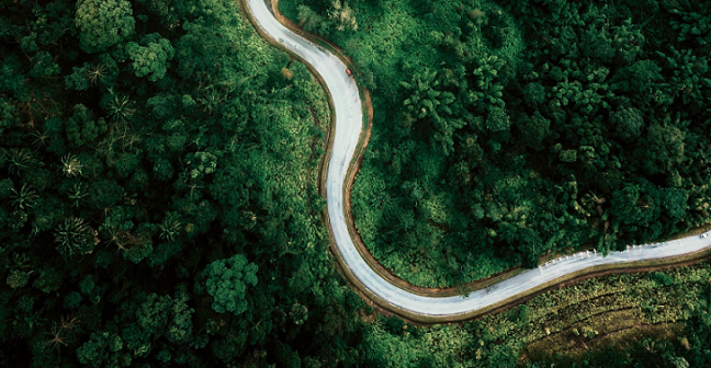 winding path seen from birds-eye view