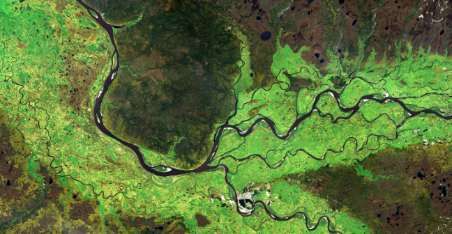 River network from above surrounded by green landscape