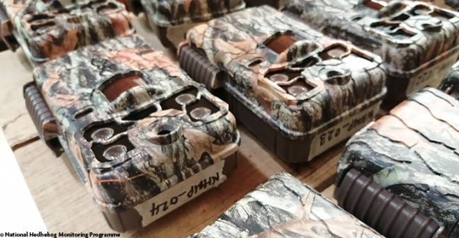 A photo of camouflage trail cameras laid out on a worktop