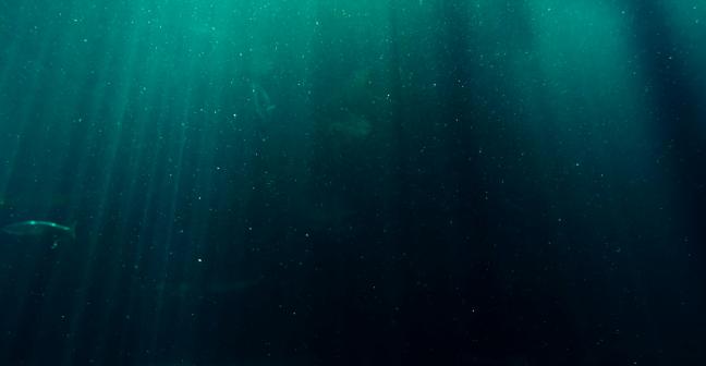 View of the ocean from below with a light source coming from above